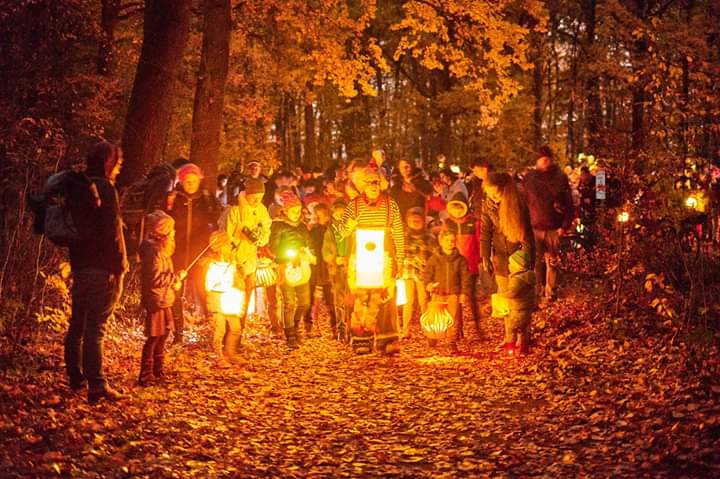 Mehr über den Artikel erfahren Lichterfest im Kinderwald