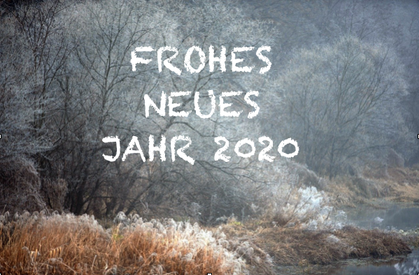 Read more about the article Wir wünschen ein frohes neues Jahr – ein Rückblick und ein Ausblick