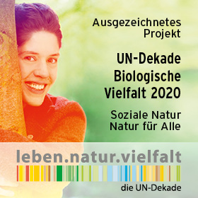Read more about the article UN-Dekade Biologische Vielfalt zeichnet den Kinderwald Hannover aus!