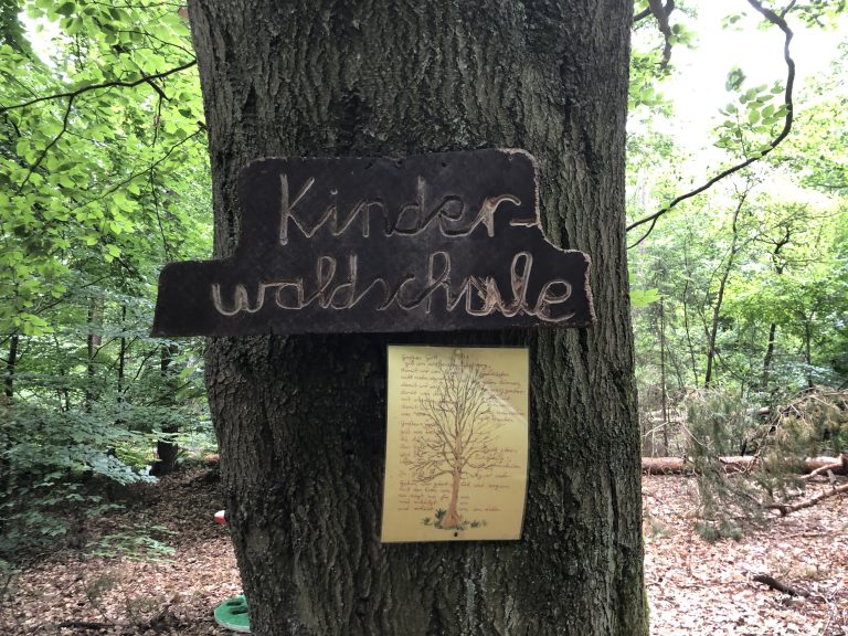 Read more about the article Wenn Schulkinder zu Waldkindern werden