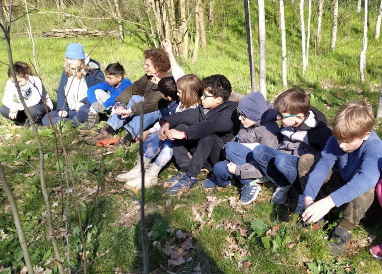 Read more about the article Blühinseln im Kinderwald – Dank der Unterstützung der Bingo-Umweltstiftung