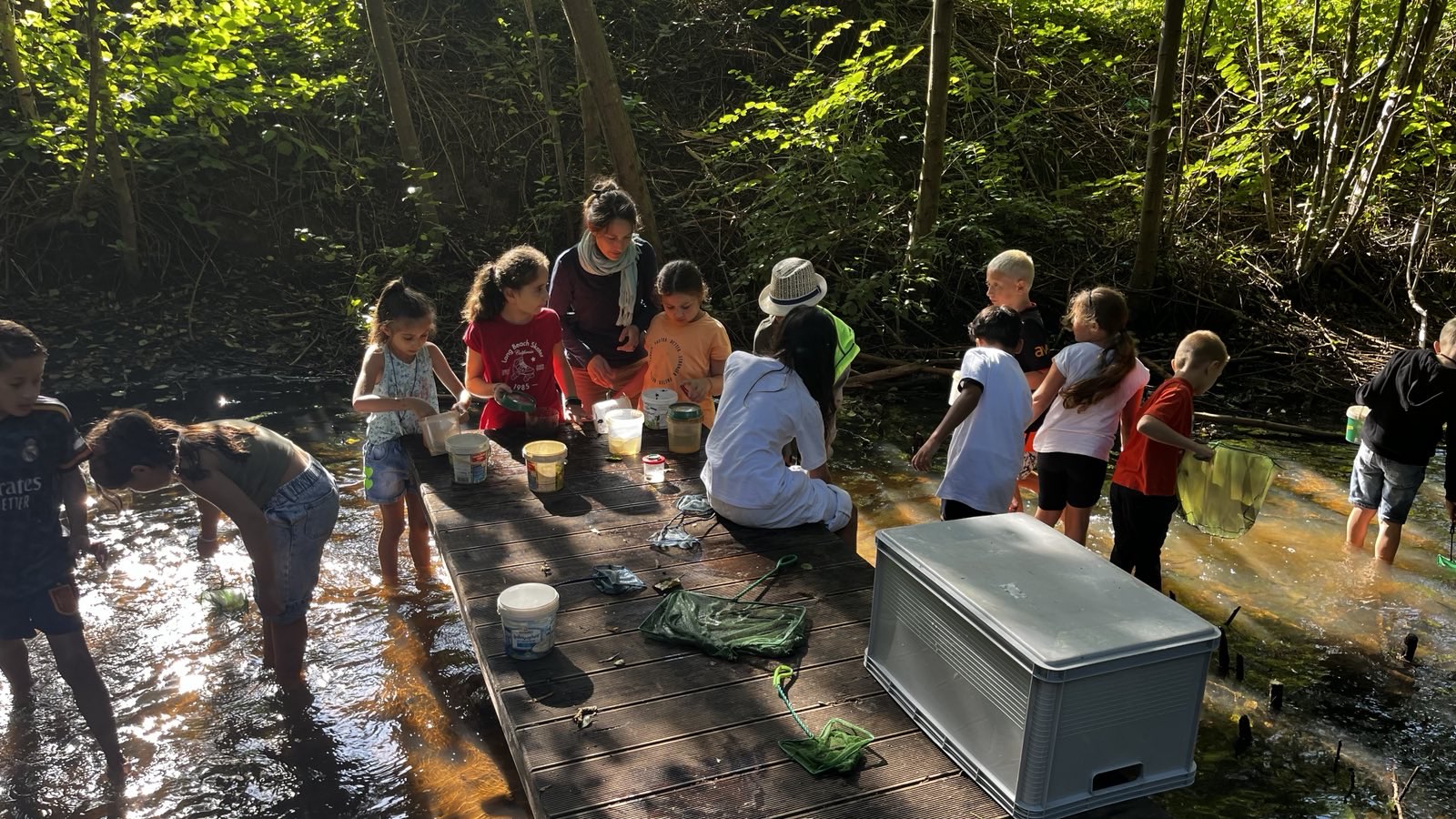 Die zweite Kinderwaldschule startet!